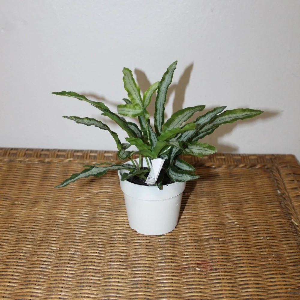 Williams Sonoma Artificial Potted Foliage.
